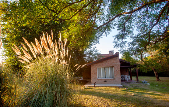 Parque alrededor de la cabaña