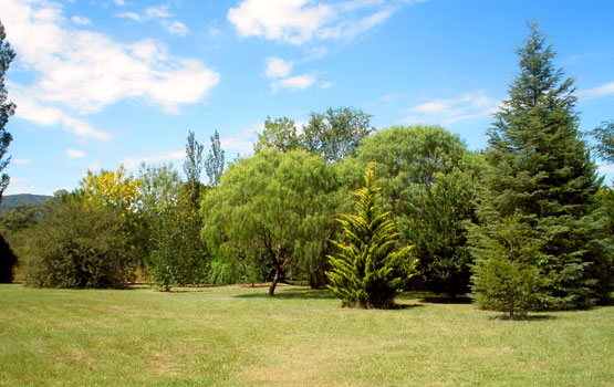 Vista del parque