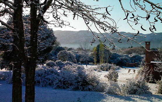 Nevada en el complejo