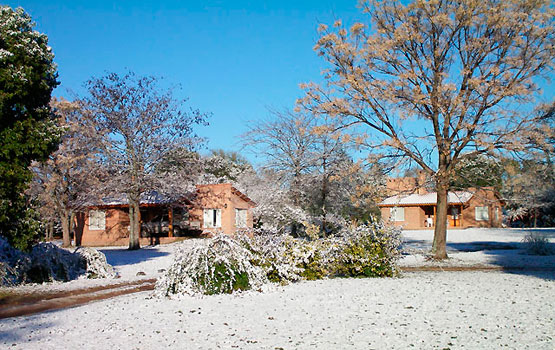 Nevada en el complejo