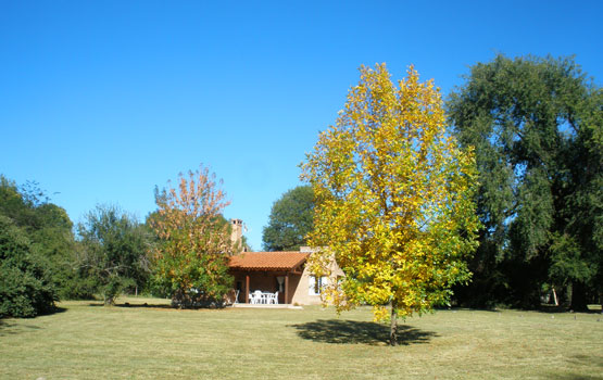 Parque y cabaña