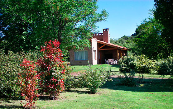 Parque y cabaña