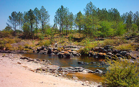 Playa de arena en el río Santa Rosa