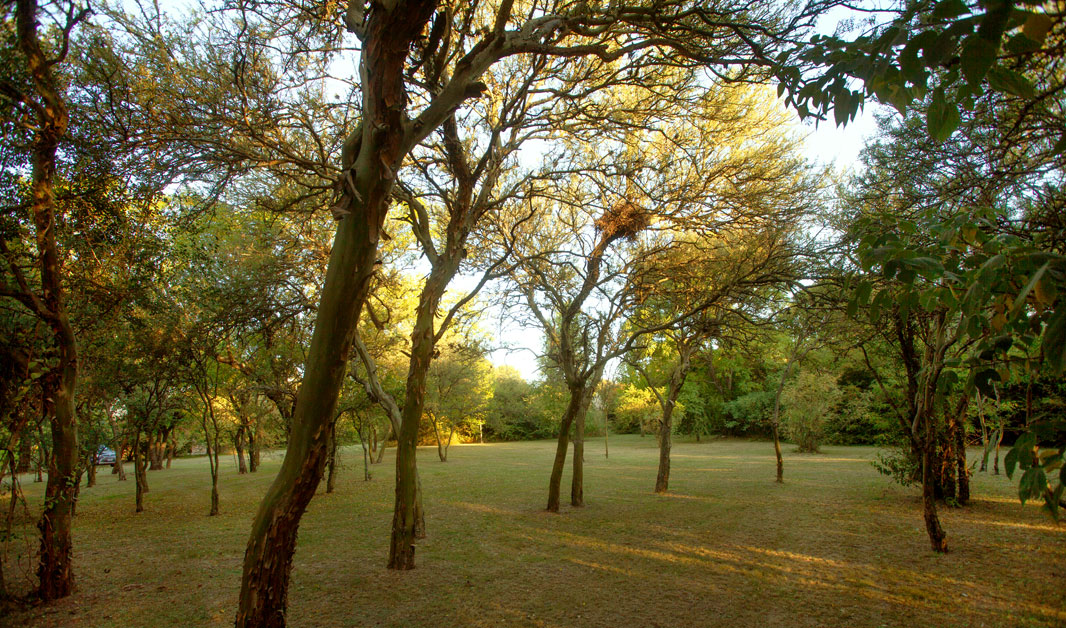 Parque Cabañas Casa de Sierras